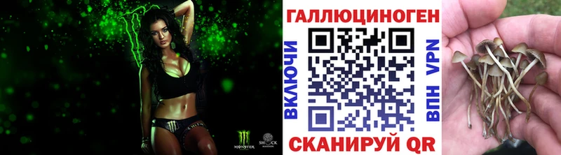 площадка Telegram  Суоярви  ОМГ ОМГ рабочий сайт  Галлюциногенные грибы прущие грибы  продажа наркотиков 